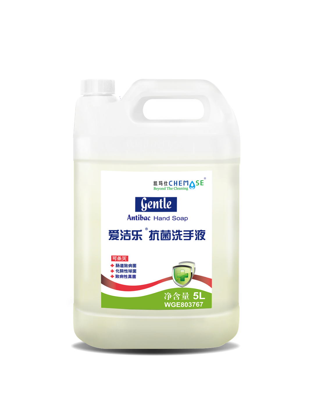 爱洁乐牌抗菌洗手液产品资料图