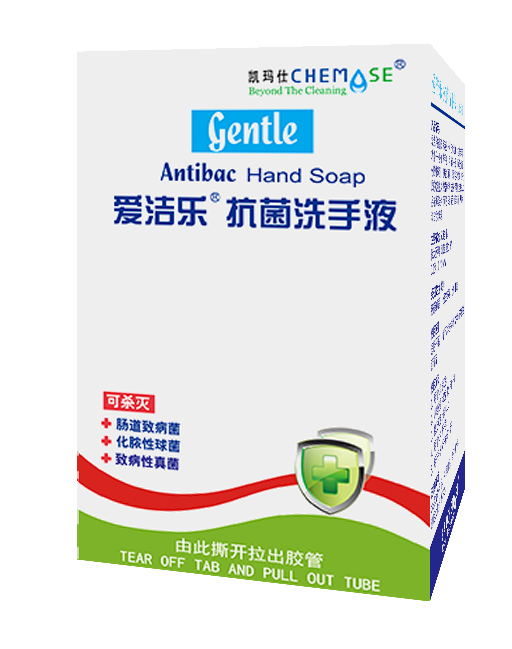 爱洁乐牌抗菌洗手液产品资料图